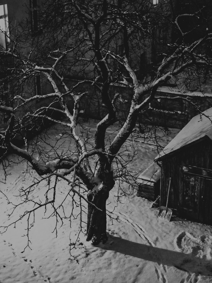 Mein Nachbar, Herr Winter